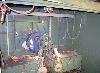  LAMPERTI Nappers, 89", 1993,
